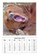 September_Kodiakbär.pdf